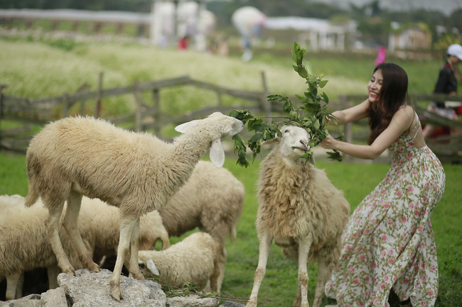 Nếu muốn giảm cân, bạn có thể học theo công thức giảm 4kg mỡ thừa đều đặn mỗi tháng, chẳng lo mất sức của người phụ nữ này-4