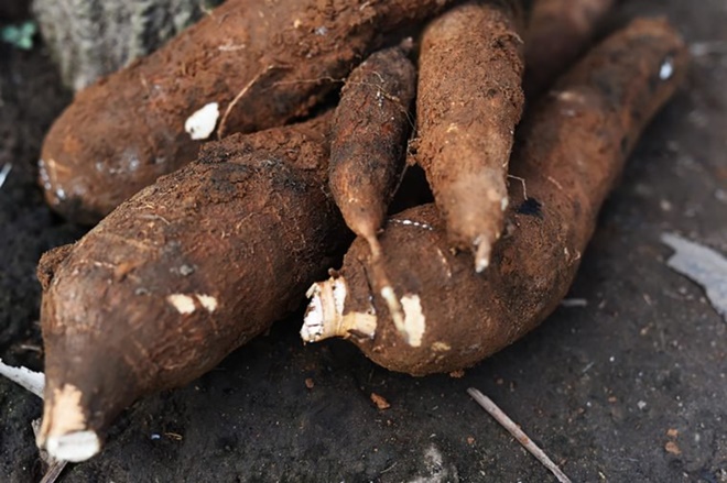 Không nấu chín 6 loại rau củ này, bạn đang làm hại cả gia đình-3