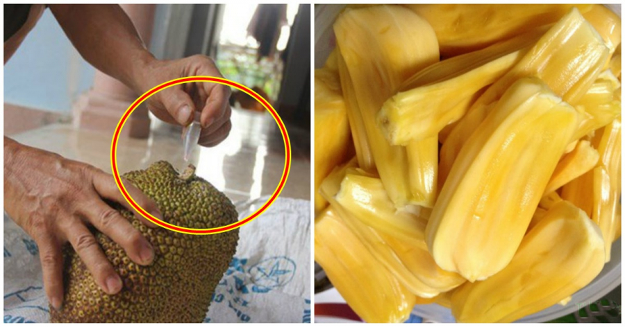 Dấu hiệu đặc biệt trên vỏ giúp chị em nhận dạng mít tiêm đầy hóa chất mà bên trong vẫn vàng óng như thật-1