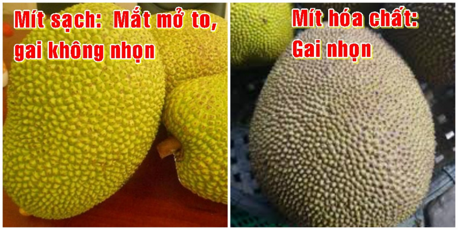 Dấu hiệu đặc biệt trên vỏ giúp chị em nhận dạng mít tiêm đầy hóa chất mà bên trong vẫn vàng óng như thật-2