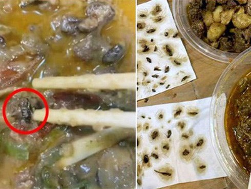 Đặt đồ ăn qua mạng, người phụ nữ hãi hùng khi gắp được 40 vật thể lạ từ bên trong