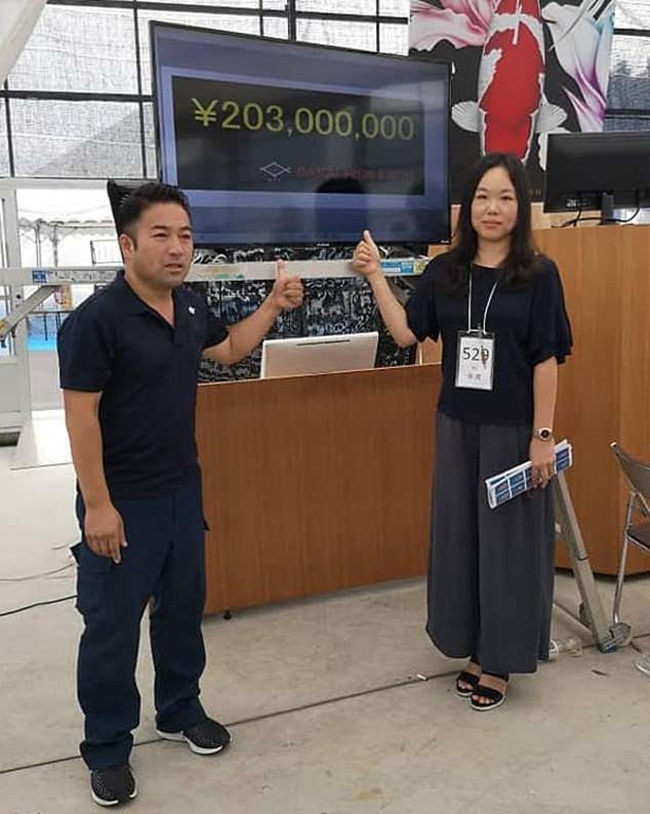 Những con cá nhà giàu có giá gấp chục lần siêu xe-2