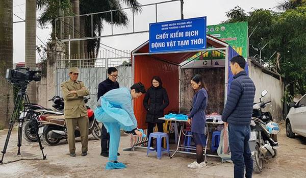 Bên trong vùng dịch tả lợn châu Phi ở nội thành Hà Nội-7