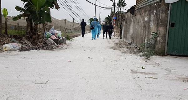 Bên trong vùng dịch tả lợn châu Phi ở nội thành Hà Nội-8