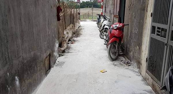 Bên trong vùng dịch tả lợn châu Phi ở nội thành Hà Nội-9