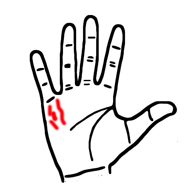 Phụ nữ: 1 phút nhìn đường tài vận trên tay, biết ngay số mệnh giàu hay nghèo, hôn nhân hạnh phúc hay khổ đau-2