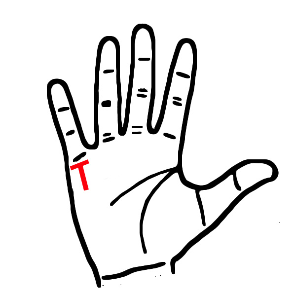 Phụ nữ: 1 phút nhìn đường tài vận trên tay, biết ngay số mệnh giàu hay nghèo, hôn nhân hạnh phúc hay khổ đau-3