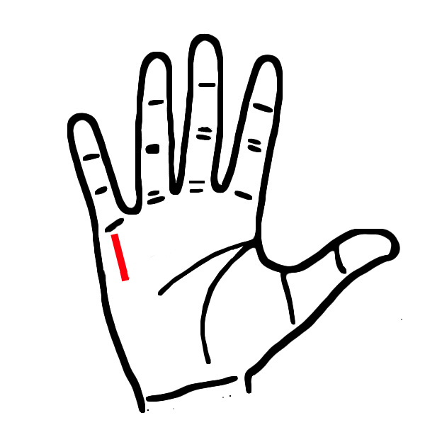 Phụ nữ: 1 phút nhìn đường tài vận trên tay, biết ngay số mệnh giàu hay nghèo, hôn nhân hạnh phúc hay khổ đau-4