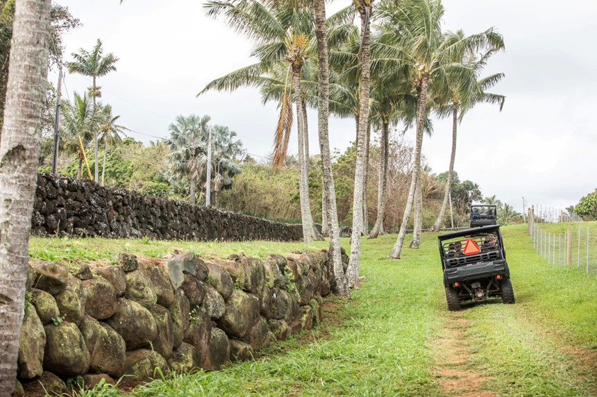 Bên trong biệt phủ bí mật của CEO Facebook ở Hawaii-3