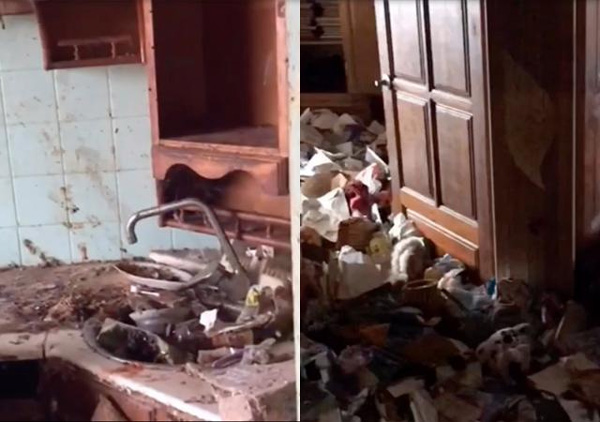 Bé gái bị bỏ rơi trong căn nhà ngập rác, gián, không biết nói và giao tiếp xã hội-3