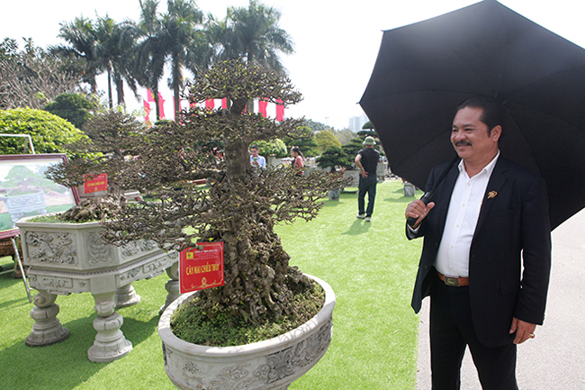 Đại gia Thái Nguyên mang cả vườn cây triệu đô đi triển lãm-2