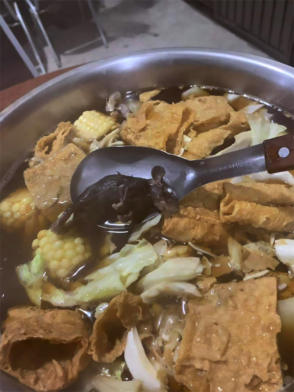 Gọi nồi lẩu, người đàn ông hoảng hốt khi thấy món ăn kèm là một con chuột chín nhừ-1