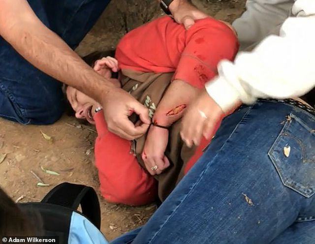 Người phụ nữ nhận hậu quả vì trèo vào chuồng báo để chụp ảnh selfie-1