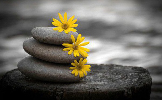 Đàn ông 40: 2 việc không làm, 3 điều không kích động và 4 thứ không được thay đổi-1