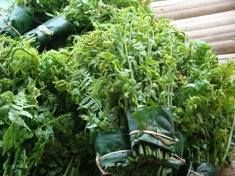 Rau dớn, bò khai, tầm bóp giá đắt cắt cổ đang cháy hàng ở Thủ đô-1