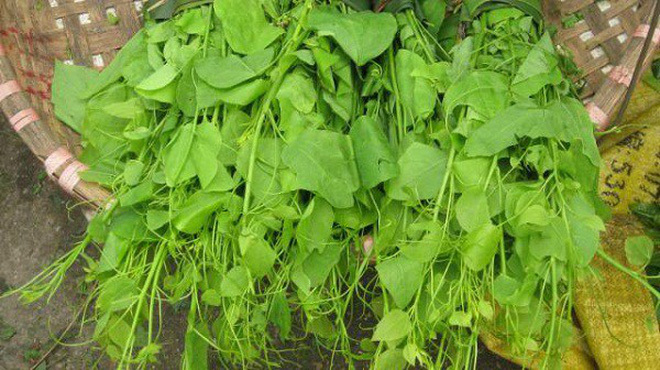 Rau dớn, bò khai, tầm bóp giá đắt cắt cổ đang cháy hàng ở Thủ đô-2