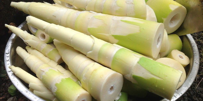 Rau dớn, bò khai, tầm bóp giá đắt cắt cổ đang cháy hàng ở Thủ đô-6