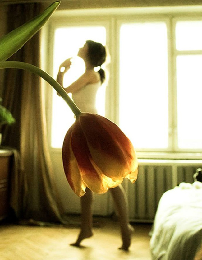 Giật mình với những bức ảnh tình cờ đến không ngờ-13