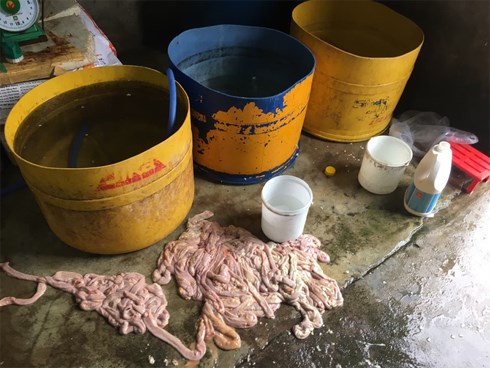 Kinh hãi hàng trăm kg nội tạng động vật hôi thối sơ chế cạnh khu vực bãi rác ở Đà Nẵng