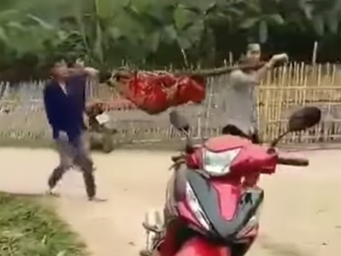 Ngáo đá trèo cột điện rồi không chịu xuống-3