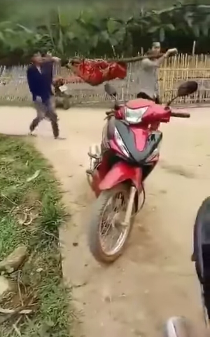 Con rể bắn chết bố vì tưởng là thú hoang: Chạy bộ hơn 7km đường rừng về tự thú-1