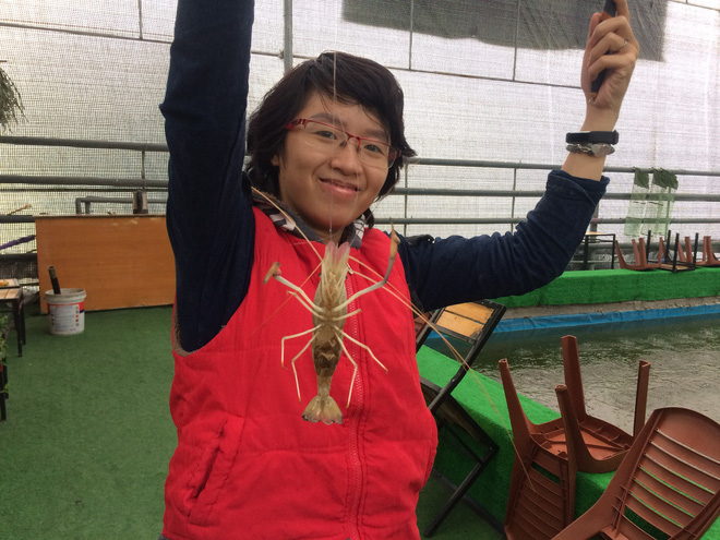 Chi tiền triệu câu thử tôm càng xanh giữa phố Hà Nội-4