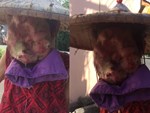 Nghi nhiễm sán lợn: hàng trăm trẻ mầm non ở Bắc Ninh được đưa về Hà Nội xét nghiệm-5