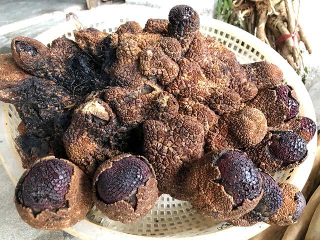 Quảng Ngãi: Thần dược cho quý ông không hiệu nghiệm thối lại tiền-1