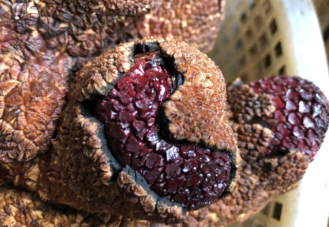 Quảng Ngãi: Thần dược cho quý ông không hiệu nghiệm thối lại tiền-2