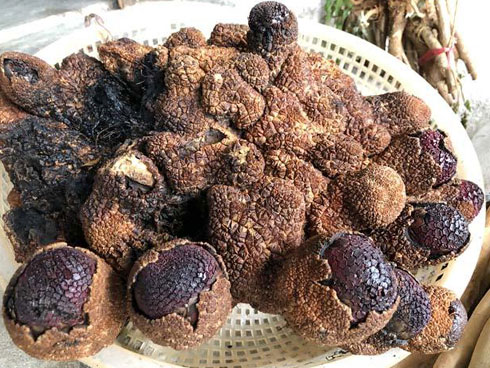 Vớ được khối bầy nhầy bẩn thỉu, không ngờ vật quý hơn 35 tỷ-5