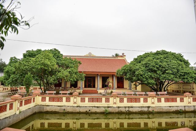 Bí ẩn cây vải tổ 200 năm được xác lập kỷ lục lâu đời nhất Việt Nam-14