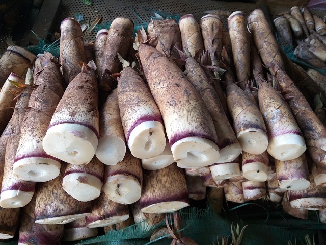 Gái xinh Sơn La bật mí cách phân biệt măng ngọt và măng đắng cực dễ-1