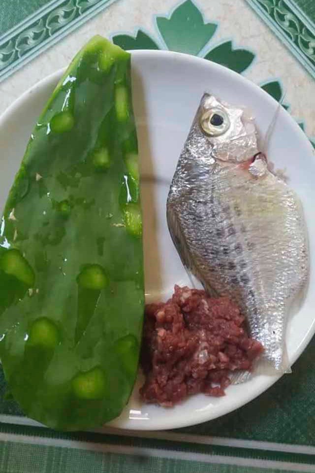 Chuyện thật như đùa: Xương rồng nấu canh là món ngon khó cưỡng, đặc sản của mùa hè miền Trung-3