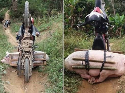 Cho bạn thân ở nhờ 2 tuần, vợ rình camera thấy cô ấy mặc đồ ngủ ôm chồng mình, và anh phản ứng thế này-2