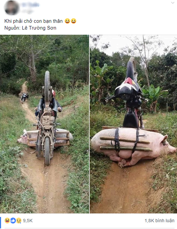 Anh chàng lái xe chở cô bạn thân bị ngã lộn nhào, dân mạng nhanh tay tag bạn vào với ý nhị đằng sau-1