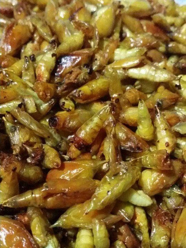 Món côn trùng chị em kinh sợ tránh xa lại là đặc sản vạn người mê-4