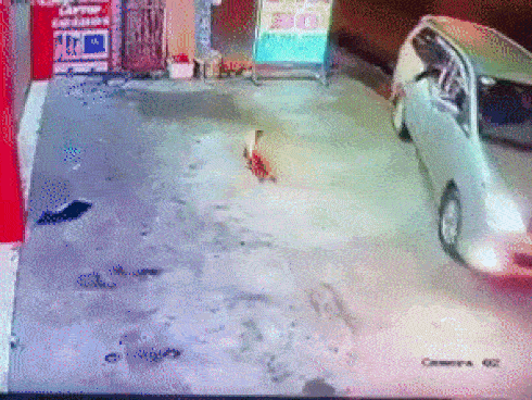 Nhóm bạn trẻ thực hiện bộ ảnh lên án nạn trộm chó khiến dân tình xôn xao-15