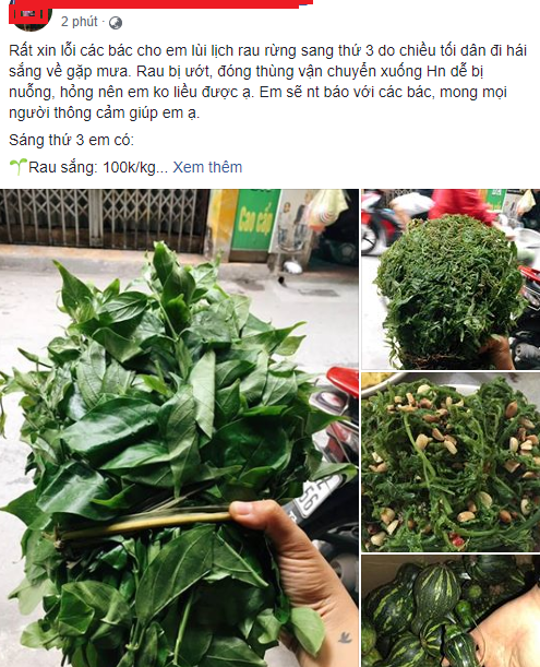 Rau rừng giá ‘chát’ được lòng bà nội trợ thủ đô-2