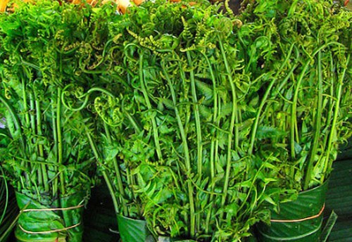 Rau rừng giá ‘chát’ được lòng bà nội trợ thủ đô-3