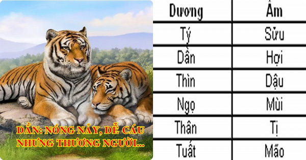 Soi luật âm dương hiểu hết 100% BẢN CHẤT con người 12 con giáp, chuẩn xác bất ngờ-2