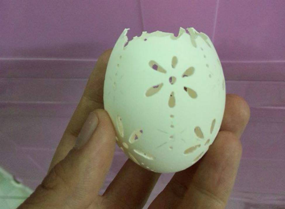 Phù phép vỏ trứng vứt đi thành sản phẩm có giá hàng triệu đồng-13