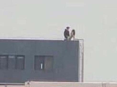 Bức ảnh cặp đôi tựa vào vai nhau trong quán cà phê rất dịu dàng cho đến khi dân mạng phát hiện tình ngay lý gian-2