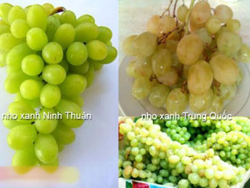 Nho không hạt bán tràn lan, dân buôn vạch mặt sự thật bất ngờ-6