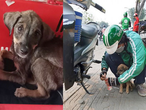 Hình ảnh người tài xế taxi ăn vội gói xôi bên vệ đường khiến dân mạng xót xa-3