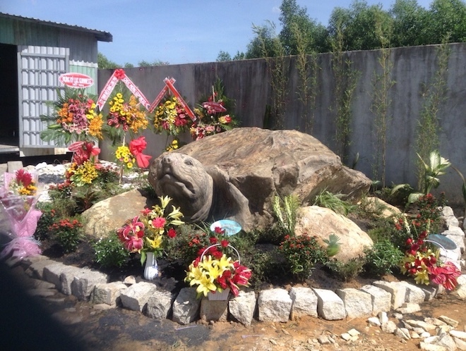 Cận cảnh rùa đá Hồn thiêng đất Việt nặng 20 tấn, 600 triệu không bán-1