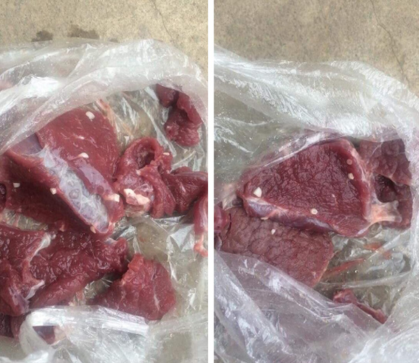 Team nội trợ lại sợ hãi với hình ảnh cá rô đồng có sán, ngo ngoe chui ra, hoang mang hỏi nhau biết ăn gì tối nay-3