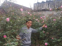Từng là dân "gà mờ", không ngờ nay là tay chơi hồng cổ có tiếng Từng là dân "gà mờ", không ngờ nay là tay chơi hồng cổ có tiếng