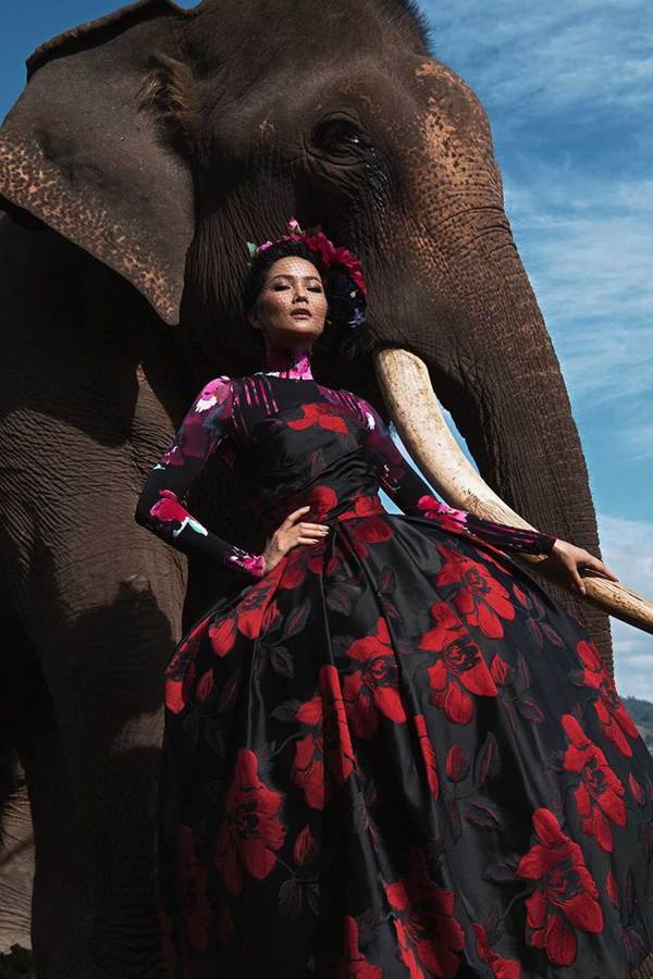 HHen Niê diện trang phục rực rỡ sắc màu, tạo dáng bên voi Tây Nguyên-1