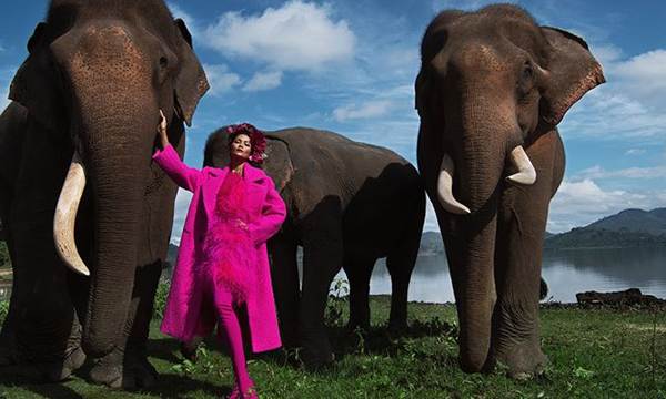 HHen Niê diện trang phục rực rỡ sắc màu, tạo dáng bên voi Tây Nguyên-2