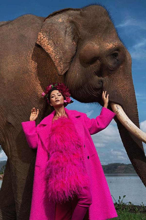 HHen Niê diện trang phục rực rỡ sắc màu, tạo dáng bên voi Tây Nguyên-3